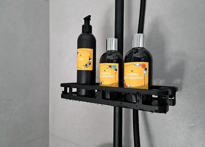 דירה Gryfny Familok קטוביץ